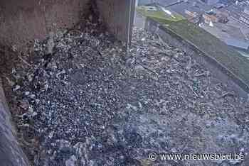 Voor het eerst in zeventien jaar geen nieuwe Mortselse slechtvalken, drie kuikens overlijden op twee dagen tijd