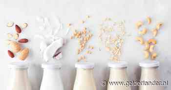 Moeten we nog melk drinken of is haverdrank beter? ‘Echte melk bevat meer eiwit en vitamine B’