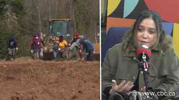 ‘Modern slave’: challenges of migrant workers in Alberta’s agricultural industry