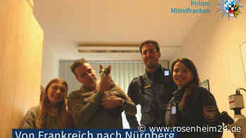 Emotionales Wiedersehen nach 18 Monaten: Kater läuft von Frankreich bis nach Bayern