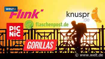 Das letzte Beben auf dem Markt der Lieferdienste