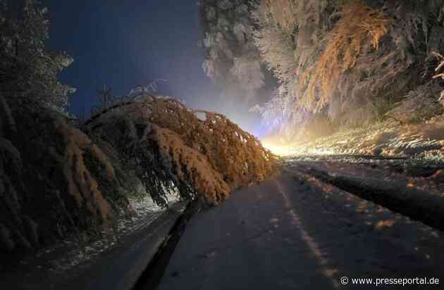 FW Horn-Bad Meinberg: Nächtlicher Schneefall lässt Bäume umstürzen und Äste abknicken - Feuerwehr im Dauereinsatz