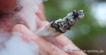 Polizei: Polizeigewerkschaft ist wegen Cannabis-Konsum bei der EM besorgt