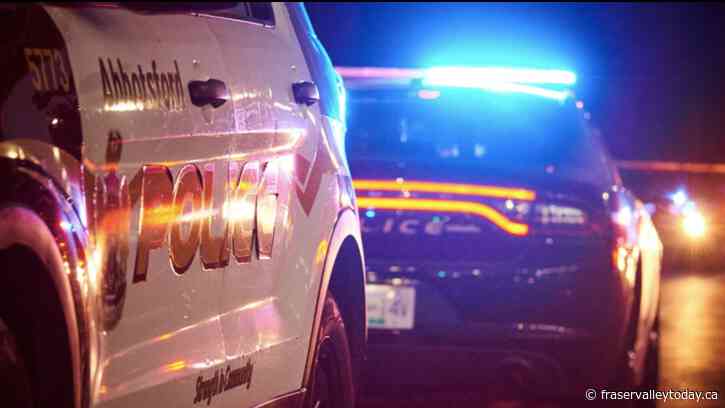 Highway 11 crash claims life of Abbotsford pedestrian