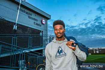 Kampioen Termien zet ongeslagen reeks verder in galamatch tegen Zwarte Leeuw