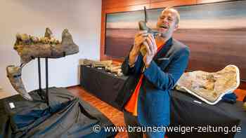 10 Millionen Jahre alt: Kinder machen unglaublichen Fund