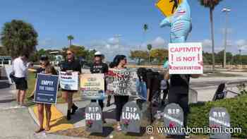 Miami Seaquarium remains open despite lease termination deadline