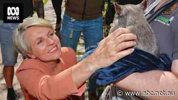 More than 100 renewable energy projects are stuck waiting for approval under federal environment laws