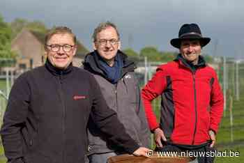 “Wijn verbouwen is booming business in ons land”: Puurs wijngoed Coninckxbeeck bestaat één jaar