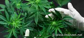 Constellation Brands zieht die Reißleine und nimmt Abstand zu Cannabis-Riese Canopy