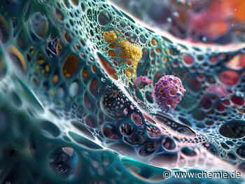 Chemikalien umweltschonend und energiesparend herstellen: Mehr Ausbeute durch Nanoporen