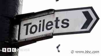 Council counts cost of 'mindless' toilet vandalism