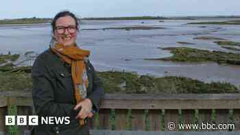 Art events set to shine light on 'true wilderness'