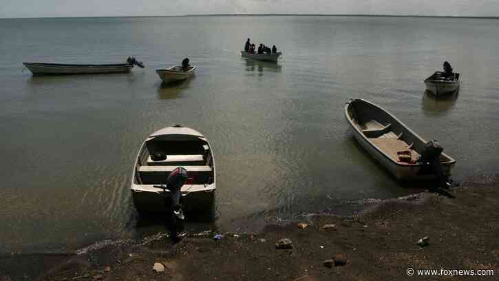 16-year-old boy killed by crocodile after boat breaks down: police