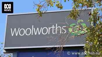 Woolworths NZ staff to wear body cameras to protect them against customer abuse