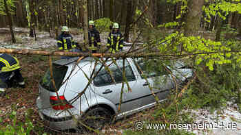 Auto prallt bei Lehen gegen Baum: Junger Edlinger (21) schwer verletzt