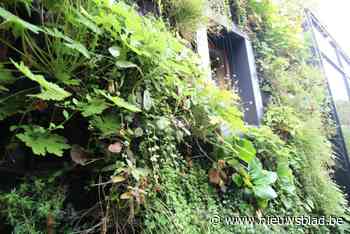 Inspiratiemoment om huis en tuin klimaatbestendig te maken voor Vremdenaren