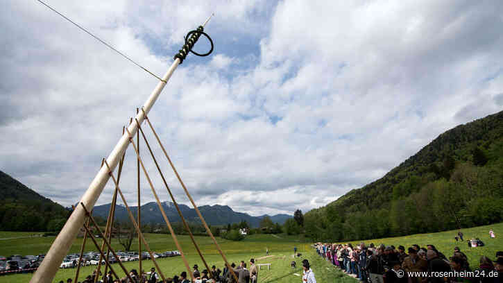 In diesen Gemeinden wird 2024 ein Maibaum aufgestellt und traditionell gefeiert