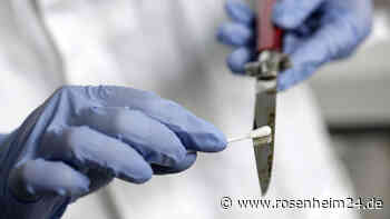 Zwei verweste Leichen innerhalb weniger Wochen: Opfer werden Kopf, Penis und Hoden abgetrennt