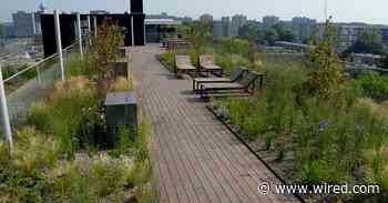Green Roofs Are Great. Blue-Green Roofs Are Even Better