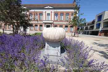 Kasterlee lanceert wedstrijd om gemeente in de bloemetjes te zetten