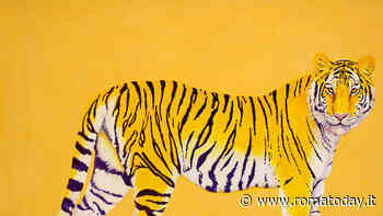 "Arte e matematica al Bioparco, Il Numero Aureo negli animali", la mostra