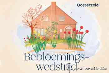 Bebloemingswedstrijd ondersteunt biodiversiteit en fleurt woonomgeving op: “Waardevolle Oh-bonnen te winnen”