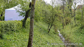 Fußgänger findet Frauenleiche in Bachbett - Polizei ermittelt