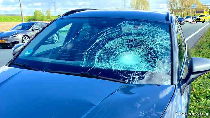 Fietsmeneer krijgt na aanrijding ook even twee boetes