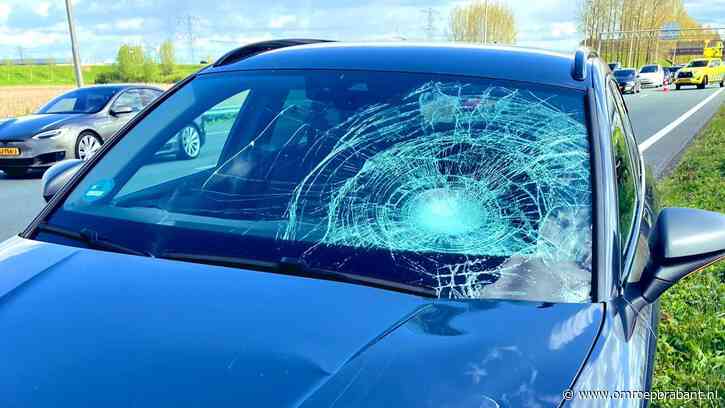 Een fietser of voetganger op de snelweg: 'Eigen veiligheid staat voorop'