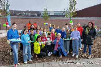 Qworzó maakt hoekje van speelplaats groener