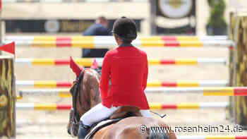 Drama beim Springreitweltcup: Pferd bricht während Finale plötzlich zusammen und stirbt