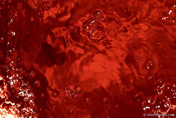 Is The Bitcoin Bloodbath Over? Analysts Say $60,000 Is The Cycle’s Bottom