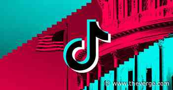 The great conundrum of campaigning on TikTok