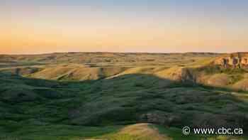 Deal to protect historic Alberta ranch from development means family can keep raising cattle