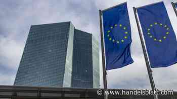 Geldpolitik: Umfrage – Volkswirte erwarten weniger EZB-Zinssenkungen als noch zuletzt