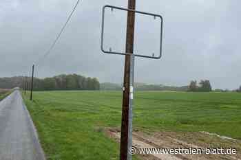 Diebstahl für den Partykeller?