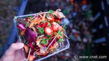 A Beginner's Guide to Composting: Everything You Need to Know to Start a Pile     - CNET