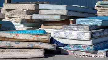 8 Ways to Properly Dispose of Your Mattress     - CNET