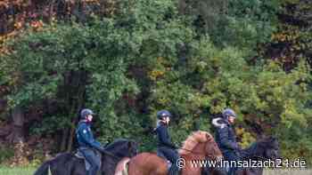 Ausritt mit Folgen: Pferde werfen Reiterinnen ab – zwei Frauen, zwei Kinder in Klinik