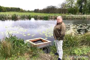 Lanaken bindt de strijd aan tegen sierschildpadden op Domein Pietersheim