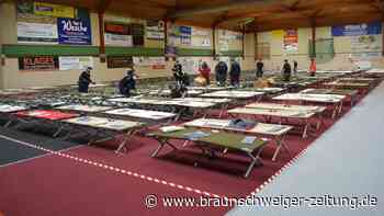 402 Flüchtlinge – Peiner Kreisverwaltung hat diese Pläne