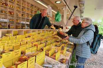 Bisher nur wenige Besucher beim Lunamarkt in Paderborn