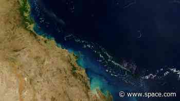 Satellites watch as 4th global coral bleaching event unfolds (image)