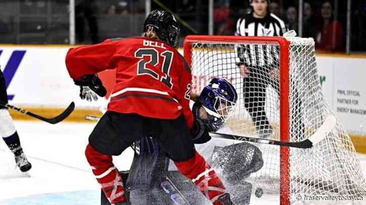 Report: 17 million Canadians consider themselves fans of women’s sports