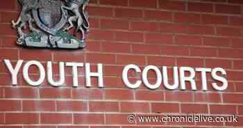 Teenager found guilty of outraging public decency in incident with horse in a Northumberland field