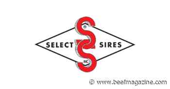 Beyond Meat debuts Beyond IV at grocery stores