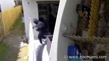 Woman arrested after attempting to poison dogs, days before stealing them from Miami-Dade home