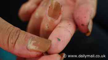 How we became 'Plastic People': Startling new documentary tracks global spread of toxic microplastics from the bottom of oceans to inside the human brain - and how it all started with the 1950s throwaway living idea