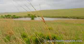 BLM rule threatens multiple use management of public lands